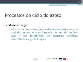 Processos do ciclo do azoto 
• Mineralização 
▫ Através da mineralização (ou decomposição) a matéria 
orgânica morta é transformada no íon de amónio 
(NH+) por intermédio de bactérias aeróbias, 
4 
anaeróbicas e alguns fungos. 
34 
 