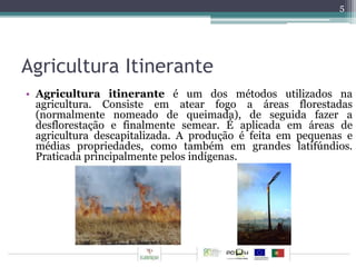 Agricultura Itinerante 
5 
• Agricultura itinerante é um dos métodos utilizados na 
agricultura. Consiste em atear fogo a áreas florestadas 
(normalmente nomeado de queimada), de seguida fazer a 
desflorestação e finalmente semear. É aplicada em áreas de 
agricultura descapitalizada. A produção é feita em pequenas e 
médias propriedades, como também em grandes latifúndios. 
Praticada principalmente pelos indígenas. 
 