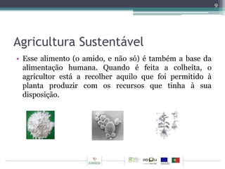 Agricultura Sustentável 
• Esse alimento (o amido, e não só) é também a base da 
alimentação humana. Quando é feita a colheita, o 
agricultor está a recolher aquilo que foi permitido à 
planta produzir com os recursos que tinha à sua 
disposição. 
9 
 