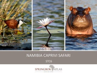 NAMIBIA CAPRIVI SAFARI 
STC6 
 