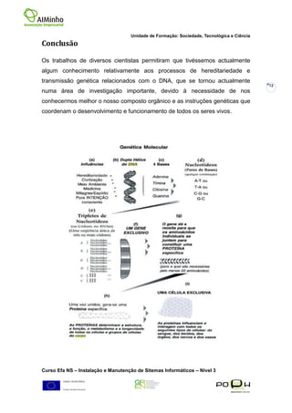 Unidade de Formação: Sociedade, Tecnológica e Ciência
Conclusão

Os trabalhos de diversos cientistas permitiram que tivéssemos actualmente
algum conhecimento relativamente aos processos de hereditariedade e
transmissão genética relacionados com o DNA, que se tornou actualmente
                                                                                            12
numa área de investigação importante, devido à necessidade de nos
conhecermos melhor o nosso composto orgânico e as instruções genéticas que
coordenam o desenvolvimento e funcionamento de todos os seres vivos.




Curso Efa NS – Instalação e Manutenção de Sitemas Informáticos – Nivel 3
 