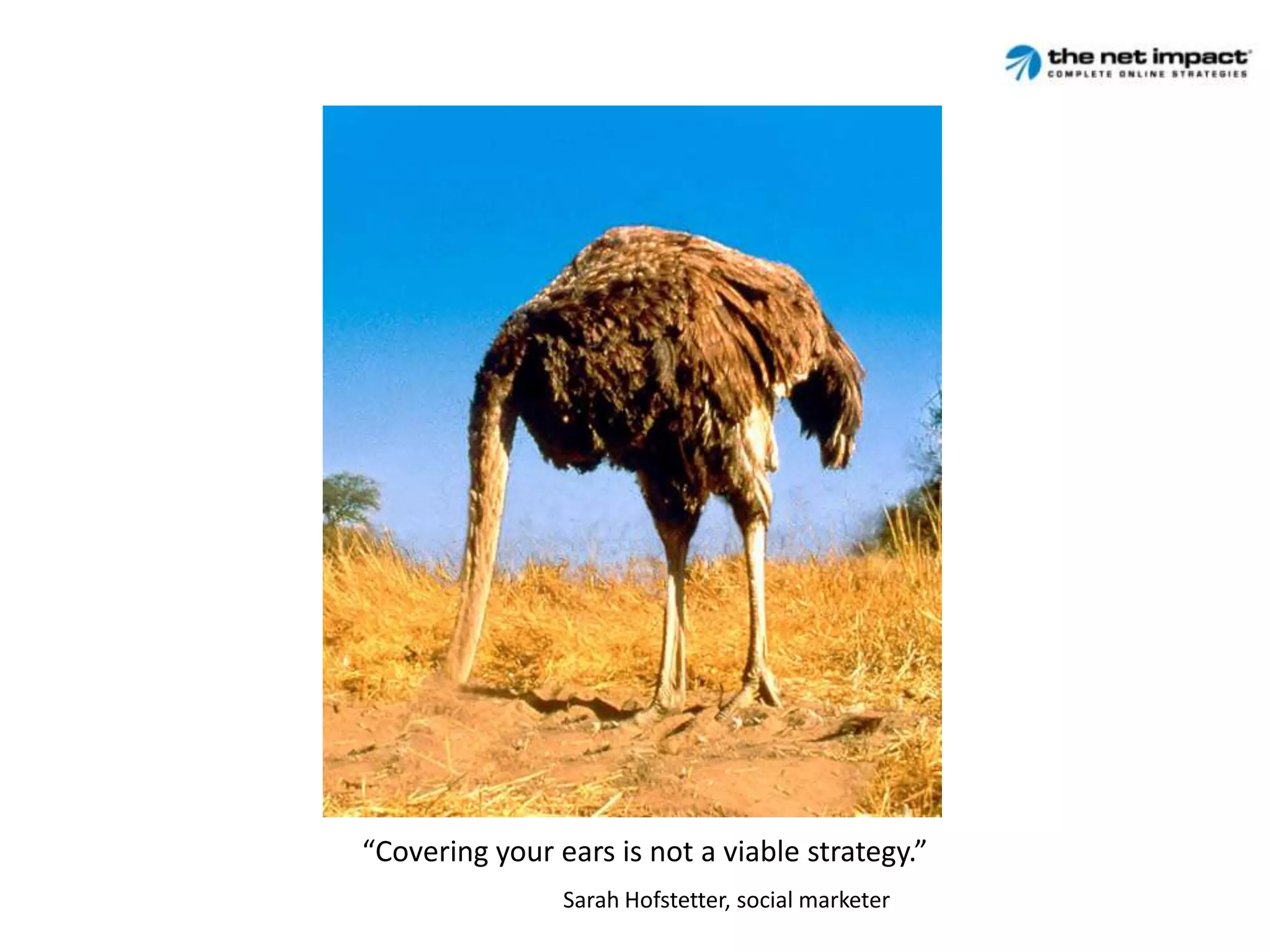 Who isSteve Thomas?President, The Net Impact