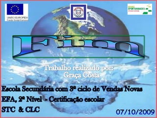 FimTrabalho realizado por:Graça CostaEscola Secundária com 3º ciclo de Vendas NovasEFA, 2º Nível  - Certificação escolarSTC  & CLC07/10/2009