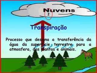 2Transpiração Processo que designa a transferência da água da superfície terrestre para a atmosfera, das plantas e animais.