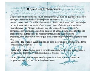 O que é um fitoterapeuta.É o profissional que estuda a "cura pelas plantas", a cura de qualquer classe de doenças...desde as doenças do corpo até as doenças da mente...dores...etc...tudo!!!através de chás...ervas medicinais...etc...e esse tipo de medicina é extremamente eficaz e muito mais eficiente que a medicina normal através de "drogas químicas que são usadas frequentemente" e compradas em farmácias ...sei disso porque  só utilizo a cura pelas plantas não preciso tomar outros tipos de medicamentos, sendo essa medicina excelente, com produtos naturais que a natureza nos proporciona exemplo disso são;Alecrim + Hipericão + Eucalipto; Tónico para o corpo, anti-inflamatório, dores musculares, entorses: Espinheiro – alvar; Tónico para o coração, regulador da tensão, perturbações cardíacas de origem nervosa, enxaquecas, insóniasLouro; Tónico e calmante para estômago e intestinos e acalma dores de origem artrítica (no caso de aplicação externa).