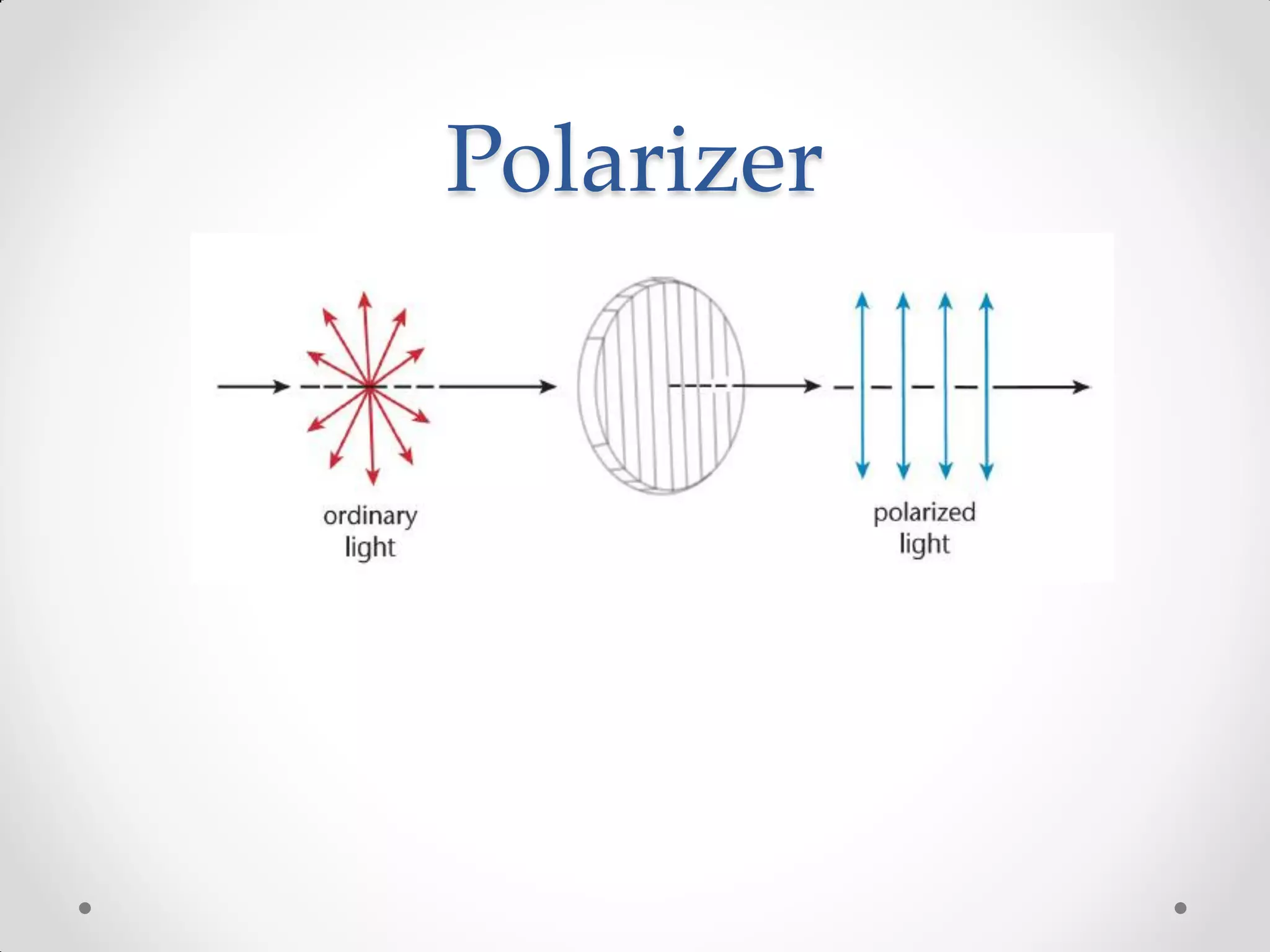 Polarizer
 
