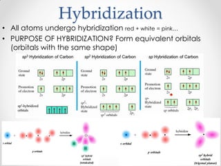 Hybridization
• All atoms undergo hybridization red + white = pink…
• PURPOSE OF HYBRIDIZATION? Form equivalent orbitals
(orbitals with the same shape)
 