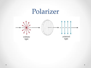 Polarizer
 