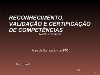 Nível Secundário Área de Competência:  STC Março de 08 CSP RECONHECIMENTO, VALIDAÇÃO E CERTIFICAÇÃO DE COMPETÊNCIAS 