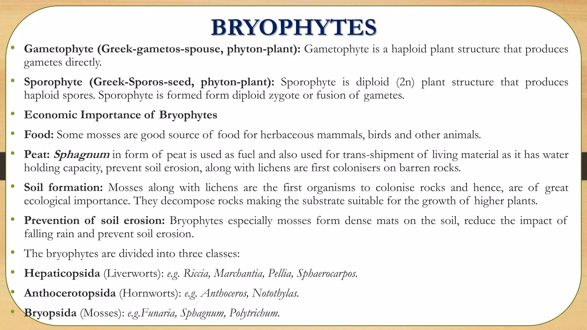 BRYOPHYTES
• Gametophyte (Greek-gametos-spouse, phyton-plant): Gametophyte is a haploid plant structure that produces
gametes directly.
• Sporophyte (Greek-Sporos-seed, phyton-plant): Sporophyte is diploid (2n) plant structure that produces
haploid spores. Sporophyte is formed form diploid zygote or fusion of gametes.
• Economic Importance of Bryophytes
• Food: Some mosses are good source of food for herbaceous mammals, birds and other animals.
• Peat: Sphagnum in form of peat is used as fuel and also used for trans-shipment of living material as it has water
holding capacity, prevent soil erosion, along with lichens are first colonisers on barren rocks.
• Soil formation: Mosses along with lichens are the first organisms to colonise rocks and hence, are of great
ecological importance. They decompose rocks making the substrate suitable for the growth of higher plants.
• Prevention of soil erosion: Bryophytes especially mosses form dense mats on the soil, reduce the impact of
falling rain and prevent soil erosion.
• The bryophytes are divided into three classes:
• Hepaticopsida (Liverworts): e.g. Riccia, Marchantia, Pellia, Sphaerocarpos.
• Anthocerotopsida (Hornworts): e.g. Anthoceros, Notothylas.
• Bryopsida (Mosses): e.g.Funaria, Sphagnum, Polytrichum.
 
