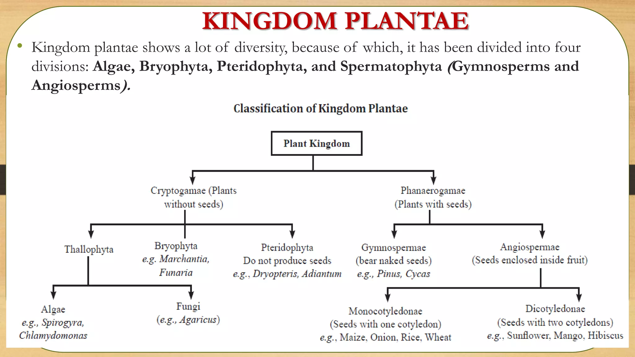 KINGDOM PLANTAE
• Kingdom plantae shows a lot of diversity, because of which, it has been divided into four
divisions: Algae, Bryophyta, Pteridophyta, and Spermatophyta (Gymnosperms and
Angiosperms).
 