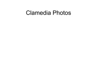 Clamedia Photos
 
