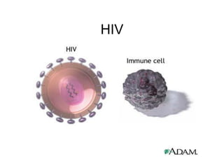 HIV
 