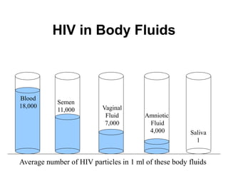 HIV in Body Fluids



Blood
            Semen
18,000                    Vaginal
            11,000
                           Fluid        Amniotic
                           7,000         Fluid
                                         4,000        Saliva
                                                        1


Average number of HIV particles in 1 ml of these body fluids
 