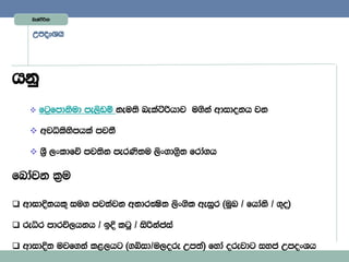 Lelaàßhd


    WmoxYh




hkq
     fg%fmdksud me,svï keu;s nelaàßhdj u.ska wdidokh jk

     wjêlsysmhla mj;S

     • ,xldfõ mj;sk merKs;u ,sx.d.%s; frda.h

fndajk l%u

 wdidÈ;hl= iu. mj;ajk wkdrÌs; ,sx.sl weiqr ^uqL $ fhdaks $ .=o&

 reêr mdrú,hkh $ bÈ lgq $ isßkacia

 wdidÈ; ujf.ka l<,hg ^.íid$u,ore Wm;a& fyda orejdg iyc WmoxYh
 