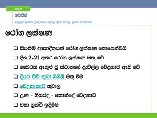 ffjria


  y¾mSia
  nyq,j ,sx.sl m%foaYfha ;=jd, we;s lrkq ,nk frda.hls



frda. ,laIK
  ish¿u wdidÈ;hka frda. ,laIK fkdfmkajhs
  Èk 2)21 w;r frda. ,laIK u;= fõ
  ffjri we;=¿ jQ ia:dkfha oeú,a, fõokdj we;s fõ
  Èhr msß l=vd ìì,s u;= ùu
  fõokdldÍ ;=jd,
  WK ) ysiro ) fldkafoa fõokdj
  jid .%kaÓ bÈóu
 