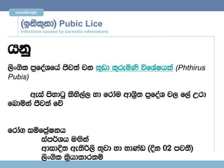 mrfmdaYs;$È,Sr



     ^bksl=kd& Pubic Lice
     Infections caused by parasitic infestations



hkq
,sx.sl m%foaYfha ðj;a jk l=vd l=reñKs úfYaIhla (Phthirus
Pubis)

     weia msydgq lsys,, yd frdau wdYs%; m%foaY j, f,a Wrd
                      a
fndñka Ôj;a fõ


frda. iïfm%aIkh
         iam¾Yh uÕska
         wdidÈ; we;sß,s ;=jd yd NdKav ^Èk 02 mj;S&
         ,sx.sl l%shdldrlï
 
