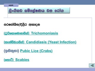 yeoskaùu




mrfmdaYs;$È,Sr wdidok

^g%hsfldfudkdisia& Trichomoniasis

^lekaâvhisia& Candidiasis (Yeast Infection)

^bksl=kd& Pubic Lice (Crabs)

^fydß& Scabies
 