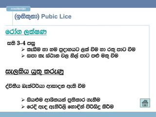 mrfmdaYs;$È,Sr



    ^bksl=kd& Pubic Lice

frda. ,laIK
i;s 3)4 miq
      leiSu yd yu m%odyhg ,la ùu yd r;= mdg ùu
      imd lE ia:dk j, ks,a mdg m¿ u;= ùu


ie,lsh hq;= lreKq

oaú;Sh nelaàßhd wdidok we;s ùu

           ish¿u wdYs;hka m%;sldr .ekSu
           frÈ we| we;sß,s fyd¢ka msßisÿ lsÍu
 