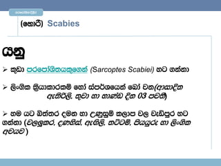 mrfmdaYs;$È,Sr



      ^fydß& Scabies


hkq
 l=vd mrfmdaYs;hl=f.ka (Sarcoptes Scabiei) yg .kakd

 ,sx.sl l%shdldrlï fyda iam¾Yfhka fnda jk^wdidÈ;
              we;sß,s" ;=jd yd NdKav Èk 03 mj;S&

 yu hg ì;a;r ouk yd WKqiqï l,dm j, jeämqr yg
.kakd ^j,Ælr" oKysia" weÕs,s" ;Ügï" mshhqre yd ,sx.sl
wjhj &
 