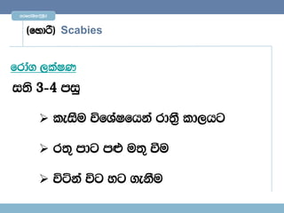 mrfmdaYs;$È,Sr



    ^fydß& Scabies


frda. ,laIK
i;s 3)4 miq

           leiSu úfYaIfhka rd;%S ld,hg

           r;= mdg m¿ u;= ùu

           úáka úg yg .ekSu
 