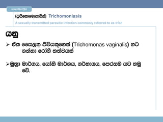 mrfmdaYs;$È,Sr


     ^g%hsfldfudkdisia& Trichomoniasis
     A sexually transmitted parasitic infection commonly referred to as trich


hkq
 tal ffi,l Ôúhl=f.ka ^Trichomonas vaginalis& yg
      .kakd frda.S ;;ajhla

uq;%d ud¾.h" fhdaks ud¾.h" .¾NdYh" fmriu hg yuq
       fõ'
 