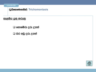 mrfmdaYs;$È,Sr


     ^g%hsfldfudkdisia& Trichomoniasis


ie,lsh hq;= lreKq


            fkdfïrE ore Wm;a

            nr wvq ore Wm;a
 