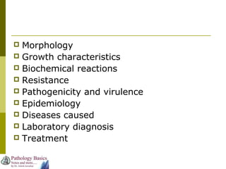  Morphology
 Growth characteristics
 Biochemical reactions
 Resistance
 Pathogenicity and virulence
 Epidemiology
 Diseases caused
 Laboratory diagnosis
 Treatment
 