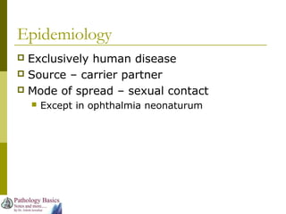 Epidemiology
 Exclusively human disease
 Source – carrier partner
 Mode of spread – sexual contact
 Except in ophthalmia neonaturum
 