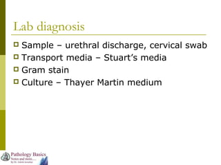 Lab diagnosis
 Sample – urethral discharge, cervical swab
 Transport media – Stuart’s media
 Gram stain
 Culture – Thayer Martin medium
 