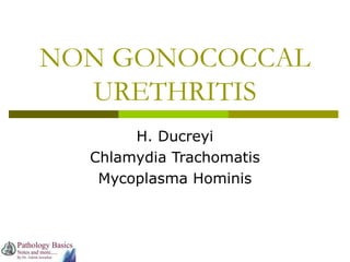 NON GONOCOCCAL
URETHRITIS
H. Ducreyi
Chlamydia Trachomatis
Mycoplasma Hominis
 