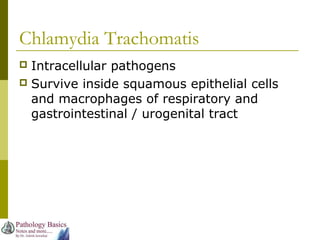 Chlamydia Trachomatis
 Intracellular pathogens
 Survive inside squamous epithelial cells
and macrophages of respiratory and
gastrointestinal / urogenital tract
 