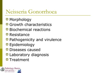 Neisseria Gonorrhoea
 Morphology
 Growth characteristics
 Biochemical reactions
 Resistance
 Pathogenicity and virulence
 Epidemiology
 Diseases caused
 Laboratory diagnosis
 Treatment
 