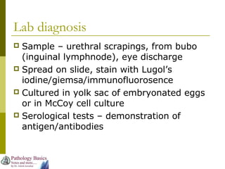 Lab diagnosis
 Sample – urethral scrapings, from bubo
(inguinal lymphnode), eye discharge
 Spread on slide, stain with Lugol’s
iodine/giemsa/immunofluorosence
 Cultured in yolk sac of embryonated eggs
or in McCoy cell culture
 Serological tests – demonstration of
antigen/antibodies
 