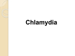 Chlamydia
 
