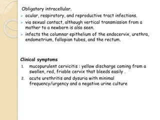 Obligatory intracellular.
 ocular, respiratory, and reproductive tract infections.
 via sexual contact, although vertical transmission from a
mother to a newborn is also seen.
 infects the columnar epithelium of the endocervix, urethra,
endometrium, fallopian tubes, and the rectum.
Clinical symptoms
1. mucopurulent cervicitis : yellow discharge coming from a
swollen, red, friable cervix that bleeds easily .
2. acute urethritis and dysuria with minimal
frequency/urgency and a negative urine culture
 