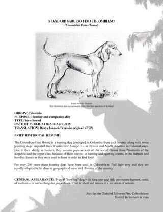 Asociación Club del Sabueso Fino Colombiano
Comité técnico de la raza
STANDARD SABUESO FINO COLOMBIANO
(Colombian Fino Hound)
Illustr: Stefano Trindade
This illustration does not necessarily depict the ideal specimen of the breed
ORIGIN: Colombia
PURPOSE: Hunting and companion dog
TYPE: Scenthound
DATE OF PUBLICATION: 6 April 2015
TRANSLATION: Denys Janssen/ Versión original: (ESP)
BRIEF HISTORICAL RESUME:
The Colombian Fino Hound is a hunting dog developed in Colombia from pack hounds along with some
pointing dogs imported from Continental Europe, Great Britain and North America in Colonial days.
Due to their ability as hunters, they became popular with all the social classes from Presidents of the
Republic and the upper class because of their interest in hunting and sporting events, to the farmers and
humble classes as they were used to hunt in order to find food.
For over 200 years these hunting dogs have been used in Colombia to find their prey and they are
equally adapted to the diverse geographical areas and climates of the country.
GENERAL APPEARANCE: Typical "howling" dog with long ears and tail; passionate hunters, rustic
of medium size and rectangular proportions. Coat is short and comes in a variation of colours.
 