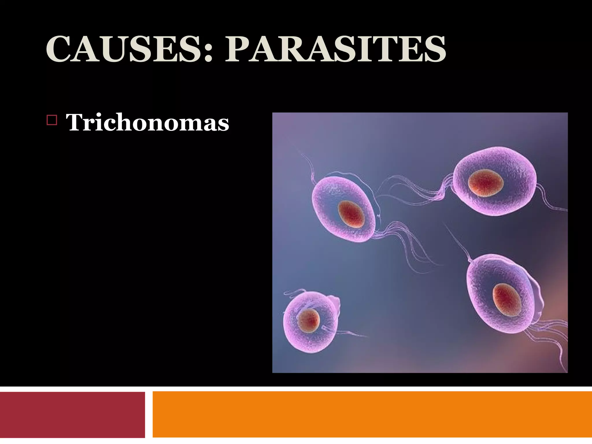 CAUSES: PARASITES
 Trichonomas
 