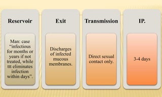 Reservoir
Man: case
“infectious
for months or
years if not
treated, while
ttt eliminates
infection
within days”.
Exit
Discharges
of infected
mucous
membranes.
Transmission
Direct sexual
contact only.
IP.
3-4 days
 