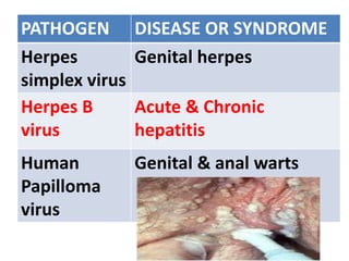 PATHOGEN DISEASE OR SYNDROME
Herpes
simplex virus
Genital herpes
Herpes B
virus
Acute & Chronic
hepatitis
Human
Papilloma
virus
Genital & anal warts
 