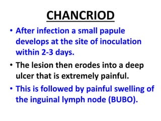 CHANCRIOD
• After infection a small papule
develops at the site of inoculation
within 2-3 days.
• The lesion then erodes into a deep
ulcer that is extremely painful.
• This is followed by painful swelling of
the inguinal lymph node (BUBO).
 