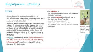 Biopolymers…(Contd.)
 