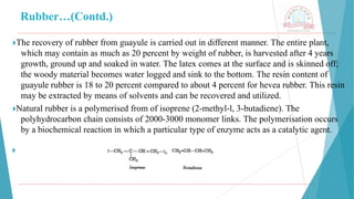 Rubber…(Contd.)
🞂​
The recovery of rubber from guayule is carried out in different manner. The entire plant,
which may contain as much as 20 percent by weight of rubber, is harvested after 4 years
growth, ground up and soaked in water. The latex comes at the surface and is skinned off;
the woody material becomes water logged and sink to the bottom. The resin content of
guayule rubber is 18 to 20 percent compared to about 4 percent for hevea rubber. This resin
may be extracted by means of solvents and can be recovered and utilized.
🞂​
Natural rubber is a polymerised from of isoprene (2-methyl-l, 3-butadiene). The
polyhydrocarbon chain consists of 2000-3000 monomer links. The polymerisation occurs
by a biochemical reaction in which a particular type of enzyme acts as a catalytic agent.
🞂
 