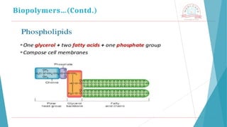 Biopolymers…(Contd.)
 