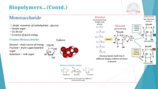 Biopolymers…(Contd.)
 