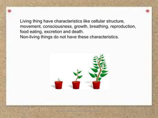 Characteristics Of Living Things