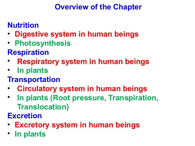 how of life process Life Processes
