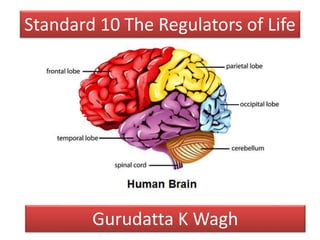 Standard 10 The Regulators of Life
Gurudatta K Wagh
 