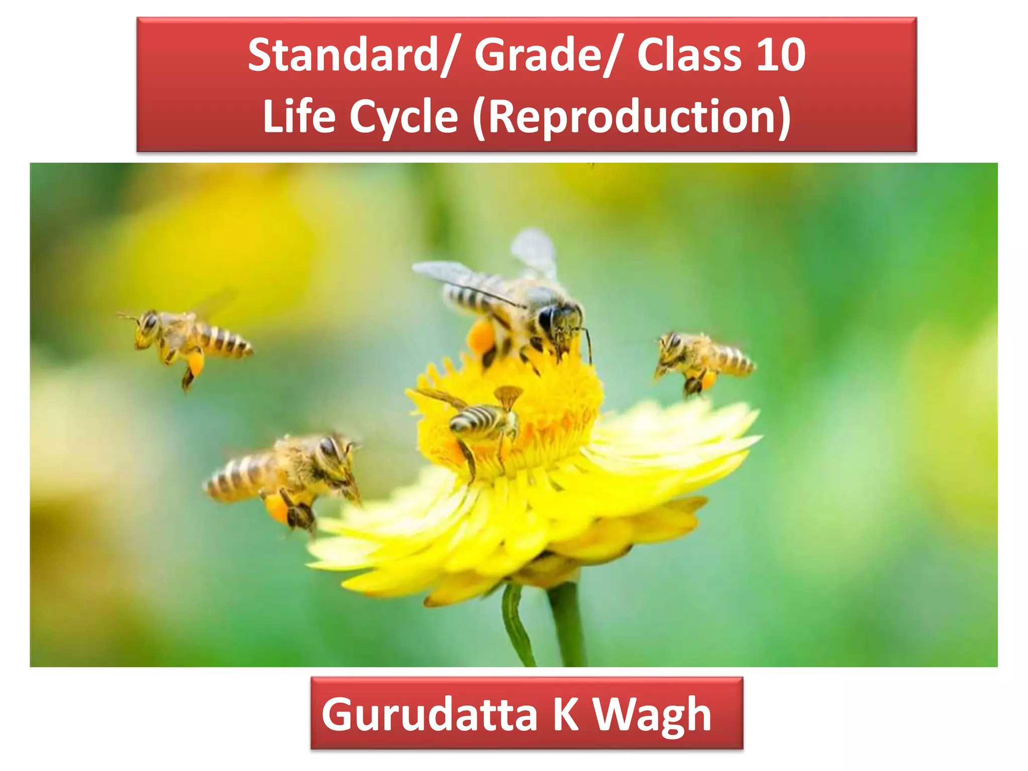 Standard/ Grade/ Class 10
Life Cycle (Reproduction)
Gurudatta K Wagh
 
