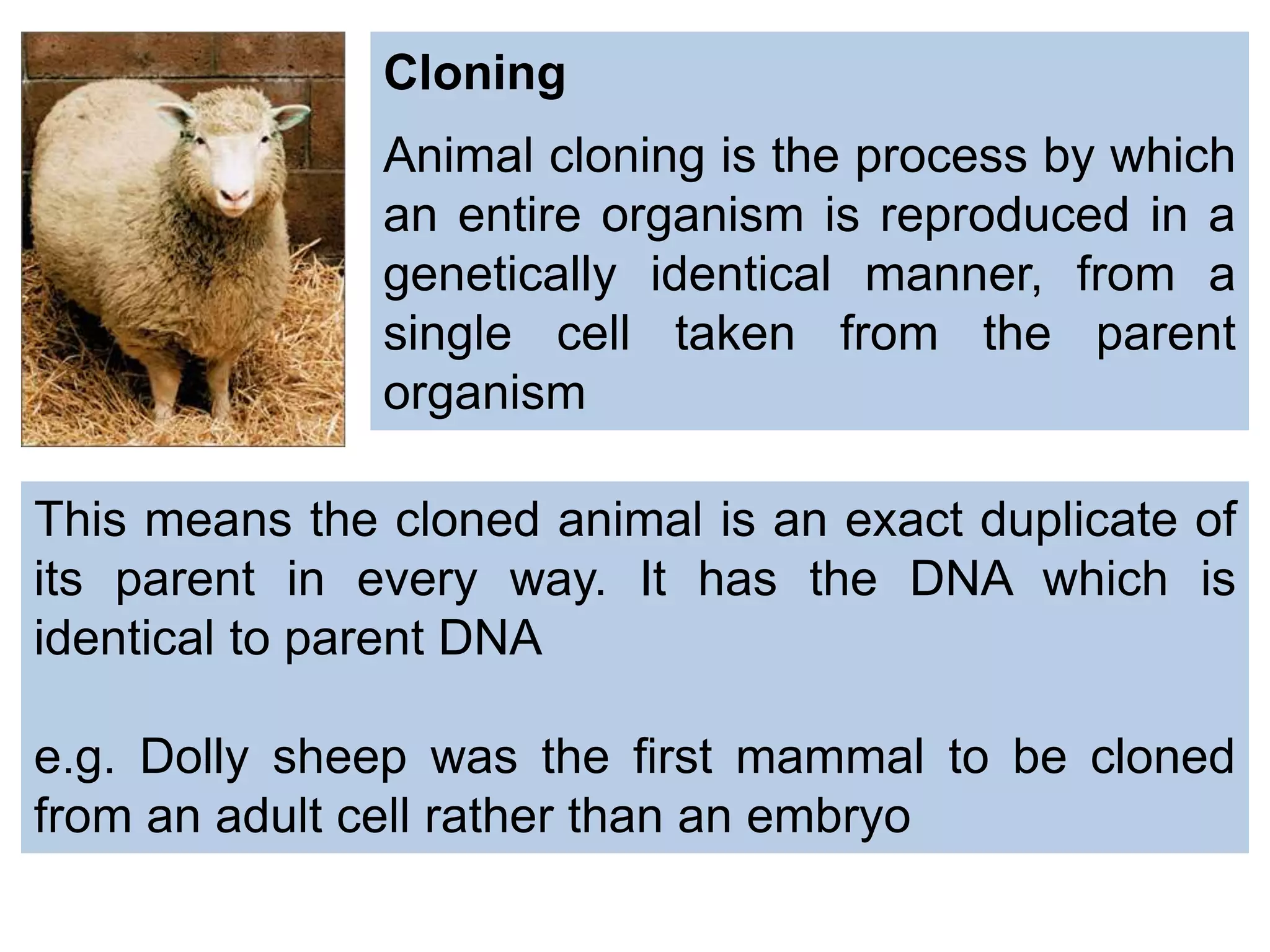 Cloning
Animal cloning is the process by which
an entire organism is reproduced in a
genetically identical manner, from a
single cell taken from the parent
organism
This means the cloned animal is an exact duplicate of
its parent in every way. It has the DNA which is
identical to parent DNA
e.g. Dolly sheep was the ﬁrst mammal to be cloned
from an adult cell rather than an embryo
 